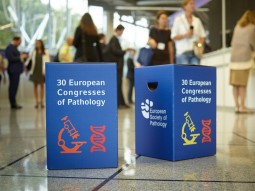 Impressionen des ECP in Bilbao