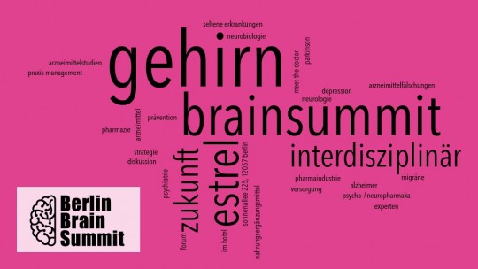 BBS – Berlin Brain Summit 